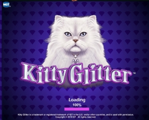 kitty-glitter-3
