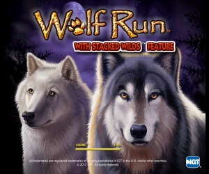 wolf-run-4